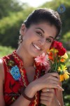 Tapsi Latest Stills - 16 of 36