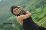 Tashu Kaushik Latest Stills - 47 of 98