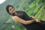 Tashu Kaushik Latest Stills - 88 of 98