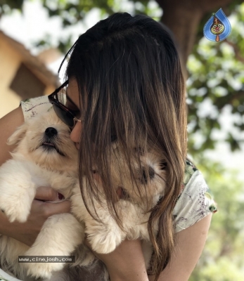 Taxiwala Fame Priyanka Jawalkar Cute Pics - 3 of 9