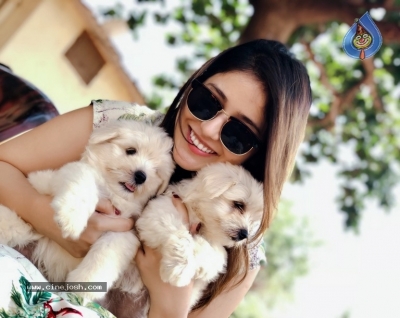 Taxiwala Fame Priyanka Jawalkar Cute Pics - 9 of 9