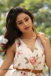 Tridha Choudhury New Gallery - 8 of 81