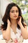 Tridha Choudhury New Gallery - 11 of 81