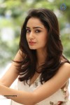 Tridha Choudhury New Gallery - 19 of 81