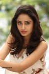 Tridha Choudhury New Gallery - 44 of 81