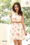 Tridha Choudhury New Gallery - 59 of 81