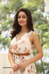 Tridha Choudhury New Gallery - 63 of 81