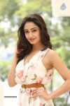 Tridha Choudhury New Gallery - 64 of 81