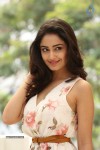 Tridha Choudhury New Gallery - 66 of 81