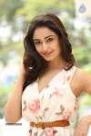 Tridha Choudhury New Gallery - 73 of 81