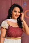 Tripti Sharma Stills - 4 of 53