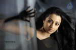 Trisha Hot Gallery - 72 of 83