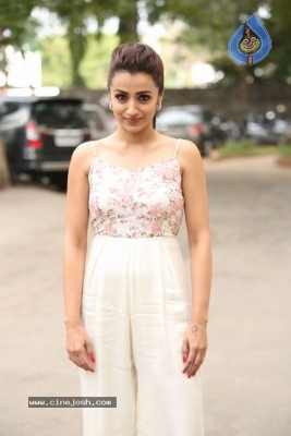 Trisha Krishnan Photos - 18 of 21