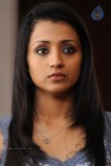 Trisha New Gallery - 17 of 65