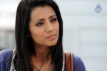 Trisha New Gallery - 61 of 65