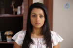 Trisha New Photos - 2 of 36