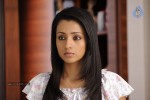 Trisha New Photos - 8 of 36