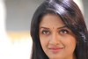 Vimala Raman Stills - 45 of 63