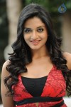 Vimala Raman High Resolution Photos - 62 of 70