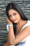 Vimala Raman New Hot Photos - 62 of 119
