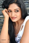 Vimala Raman New Hot Photos - 84 of 119