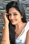 Vimala Raman New Hot Photos - 109 of 119