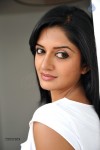 Vimala Raman New Hot Photos - 113 of 119