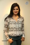 Vimala Raman New Pics - 17 of 62