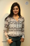 Vimala Raman New Pics - 22 of 62