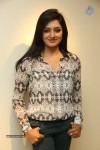 Vimala Raman New Pics - 30 of 62