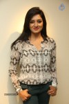 Vimala Raman New Pics - 54 of 62