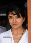 Vimala Raman New Stills - 15 of 36