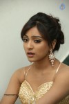 Vithika Sheru Latest Gallery - 24 of 80