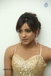 Vithika Sheru Latest Gallery - 34 of 80