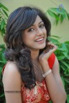 Vithika Sheru New Pics - 16 of 73