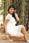 Yamini Bhaskar New Photos - 18 of 82