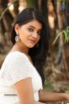 Yamini Bhaskar New Photos - 45 of 82