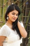Yamini Bhaskar New Photos - 55 of 82