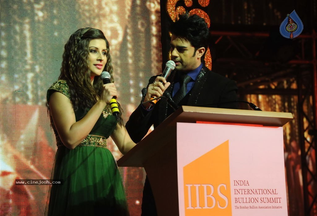 1st India Bullion Jewellery Awards 2013 n Fashion Show - 64 / 78 photos