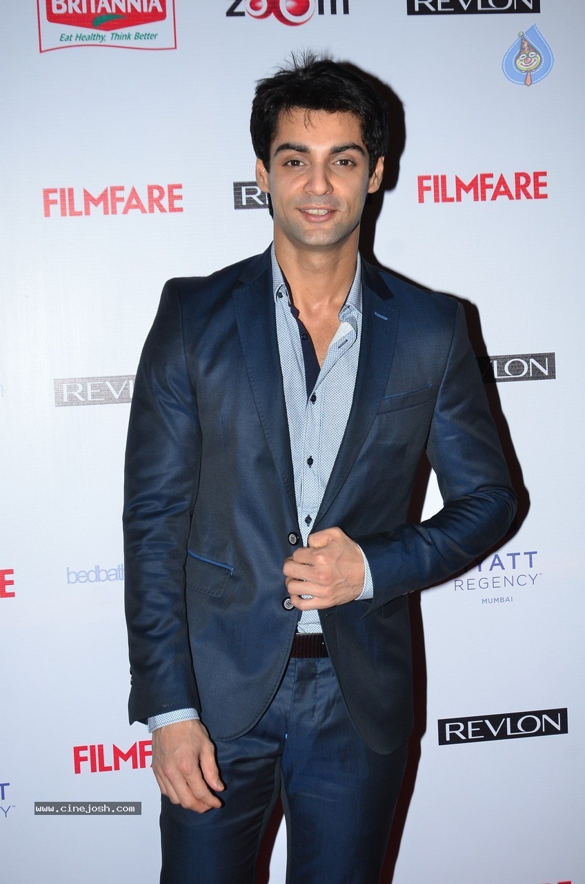 60th Britannia Filmfare Awards Pre Awards Party 02 - 52 / 60 photos