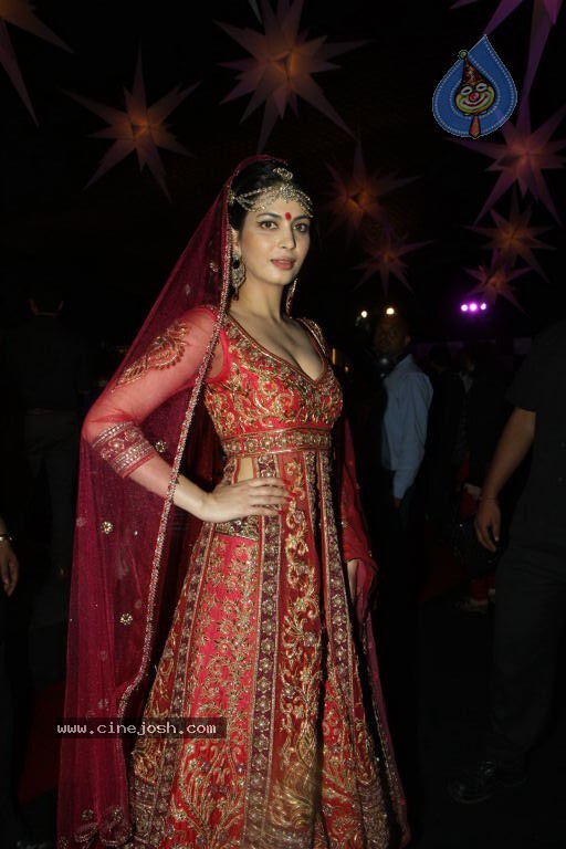 Aamby Valley India Bridal Fashion Week 2012 - 29 / 71 photos