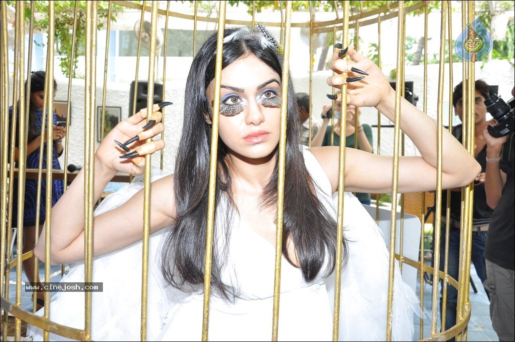 Adah Sharma at PETA Campaign - 57 / 68 photos