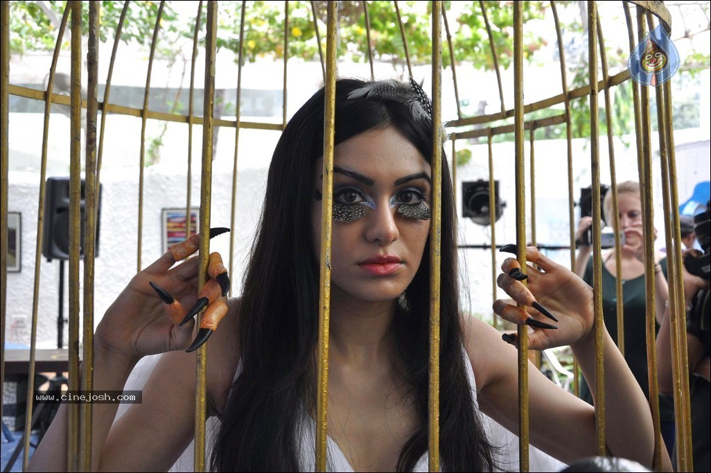 Adah Sharma at PETA Campaign - 68 / 68 photos