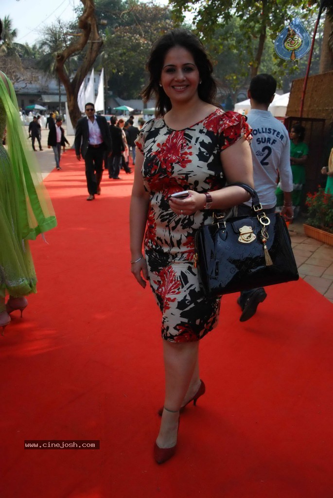 AGP Multimillion Race Event - 67 / 71 photos