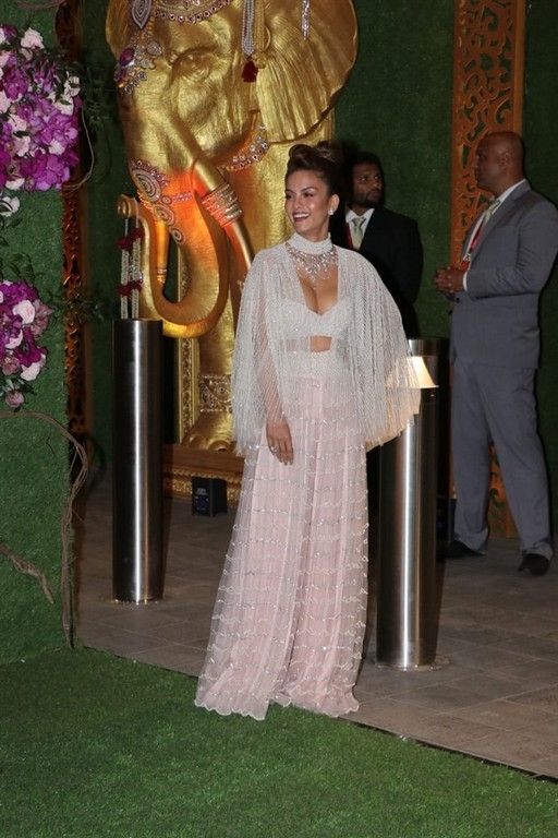 Akash Ambani and Shloka Mehta Wedding Reception - 28 / 43 photos