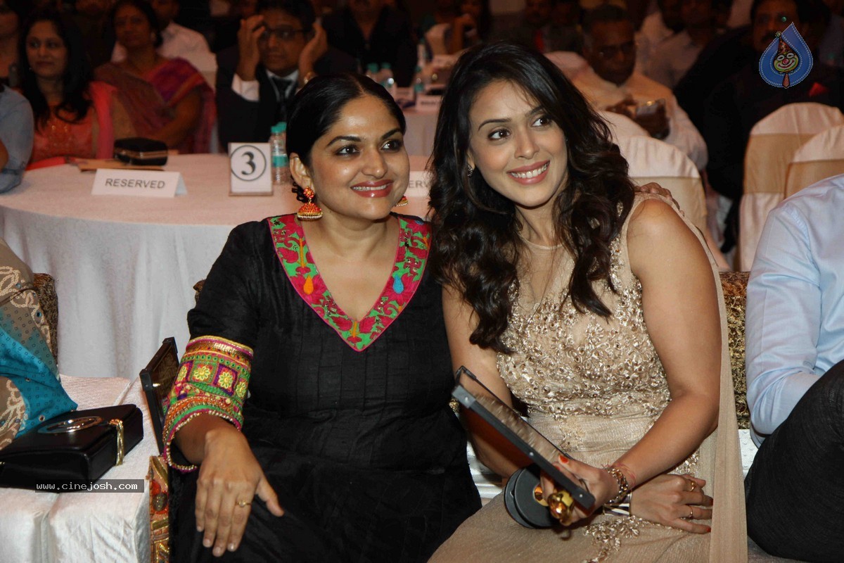 All India Achievers Awards 2015 - 14 / 44 photos