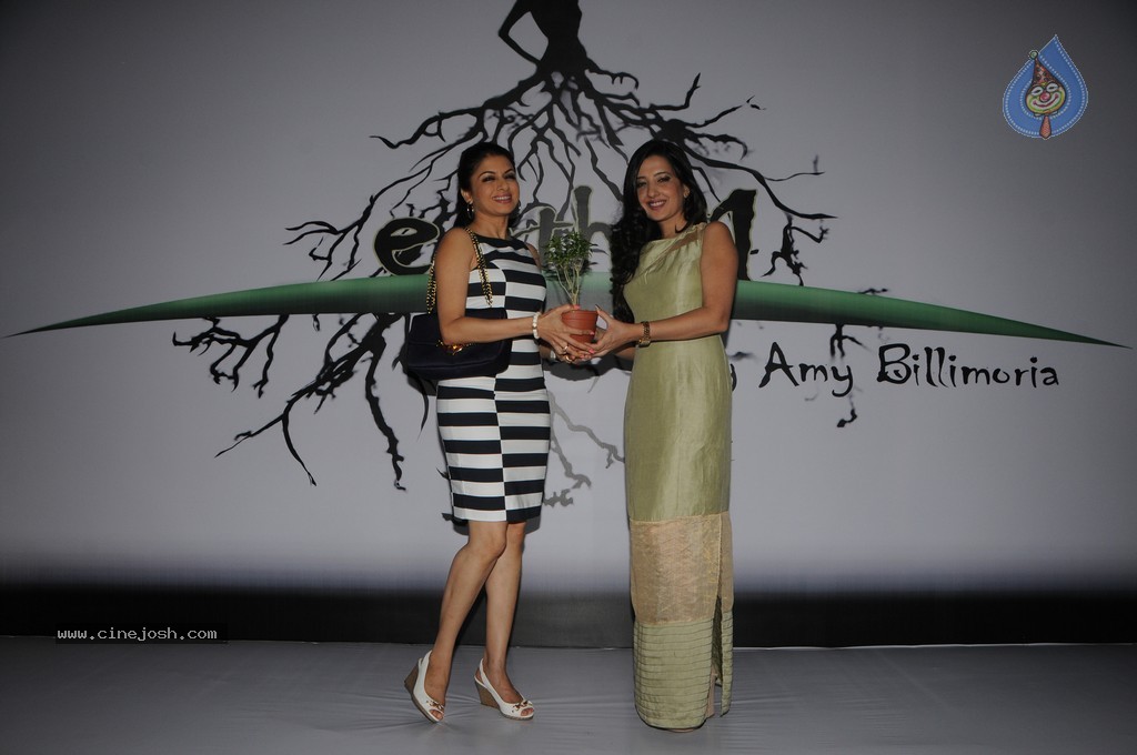 Amy Billimorias Eco Art Fashion Initiative Earth 21 - 70 / 73 photos