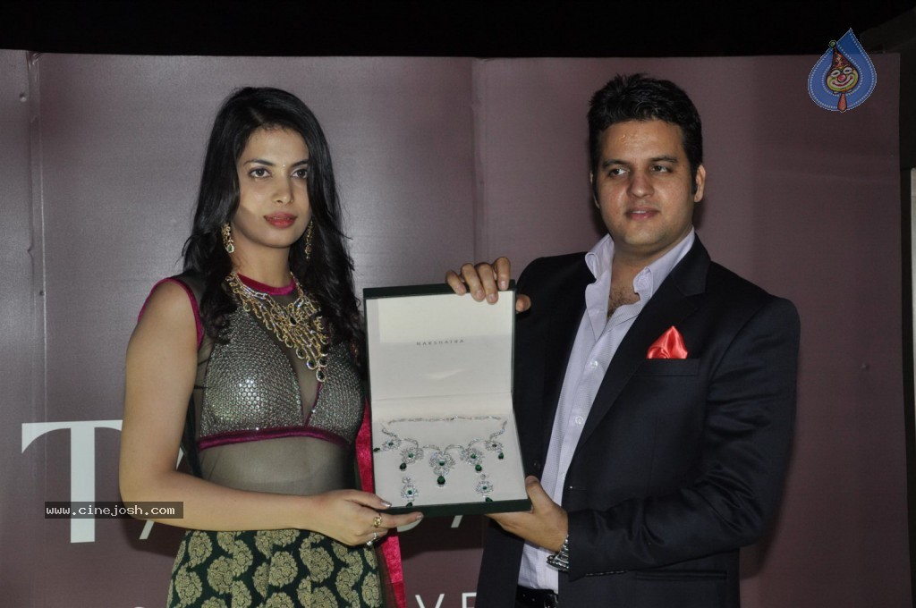 Ankita Shorey at Gitanjali IRFW 2012  - 32 / 51 photos