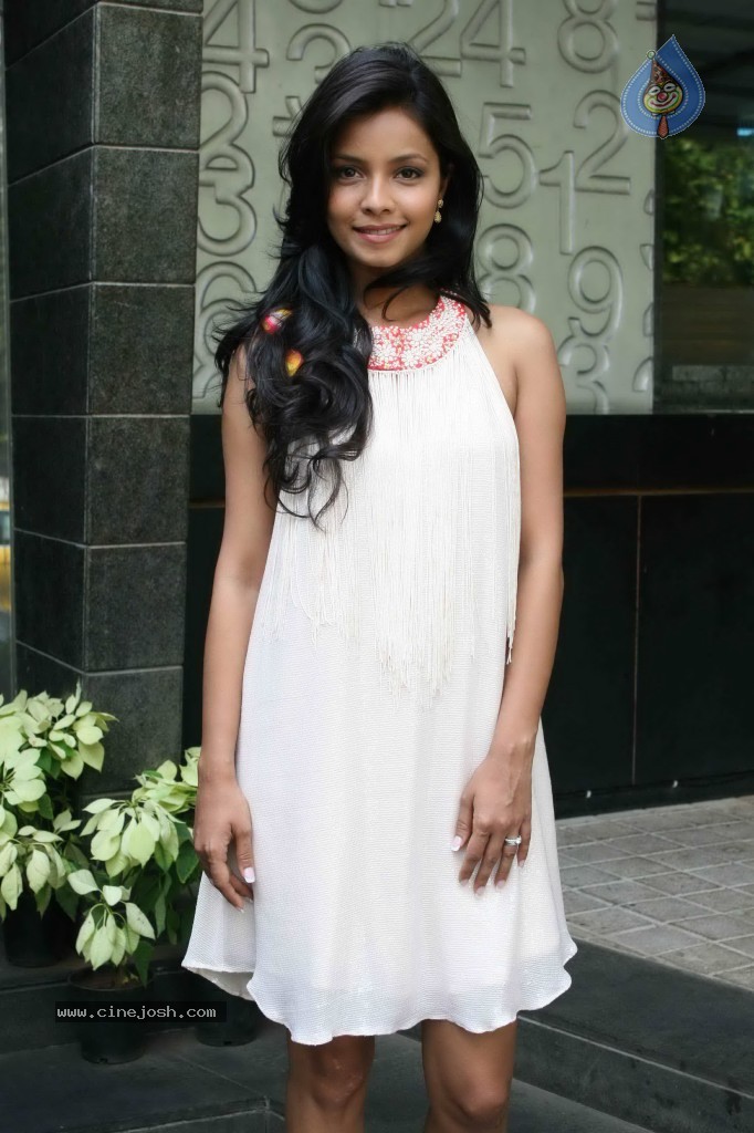 Ash Chandler and Junelia Wedding Reception Party  - 7 / 70 photos