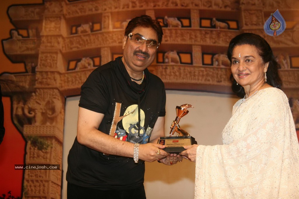 Bharat Ratna Dr. BR Ambedkar Awards 2012 - 59 / 88 photos